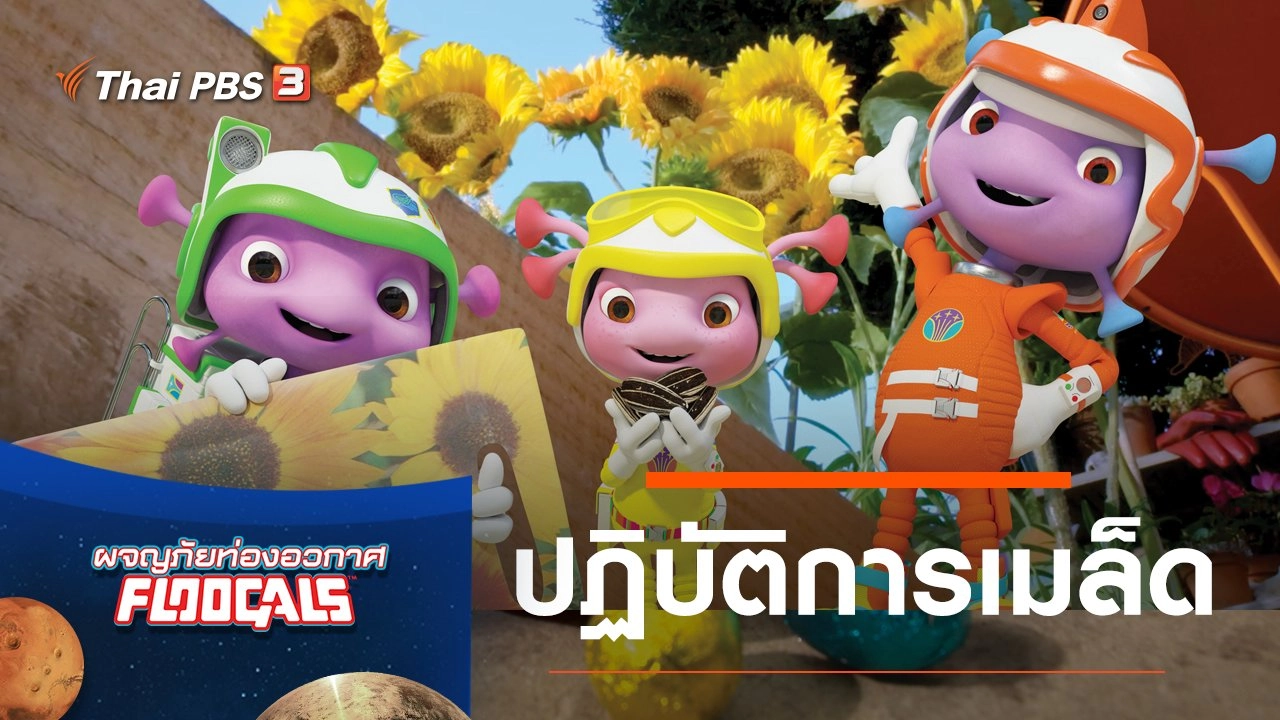 ปฏิบัติการเมล็ด