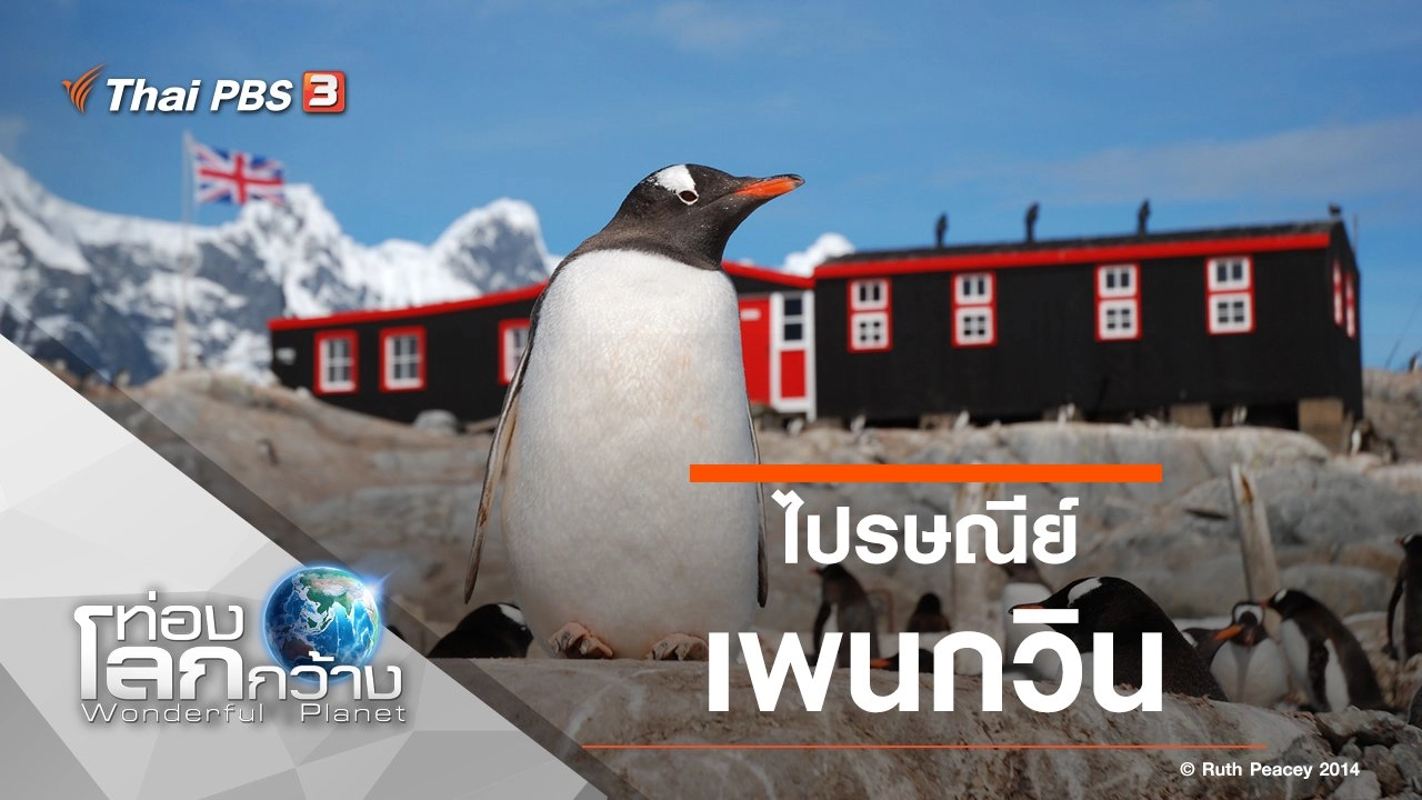 ไปรษณีย์เพนกวิน