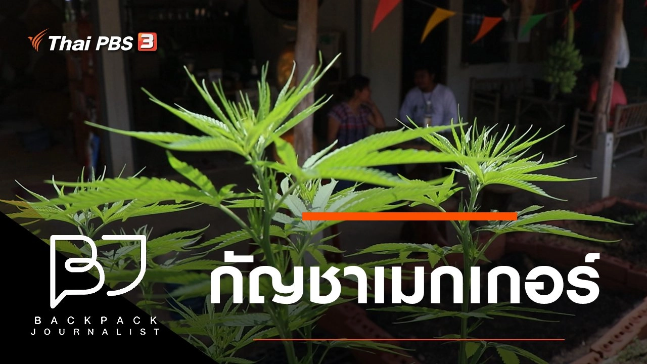 กัญชาเมกเกอร์