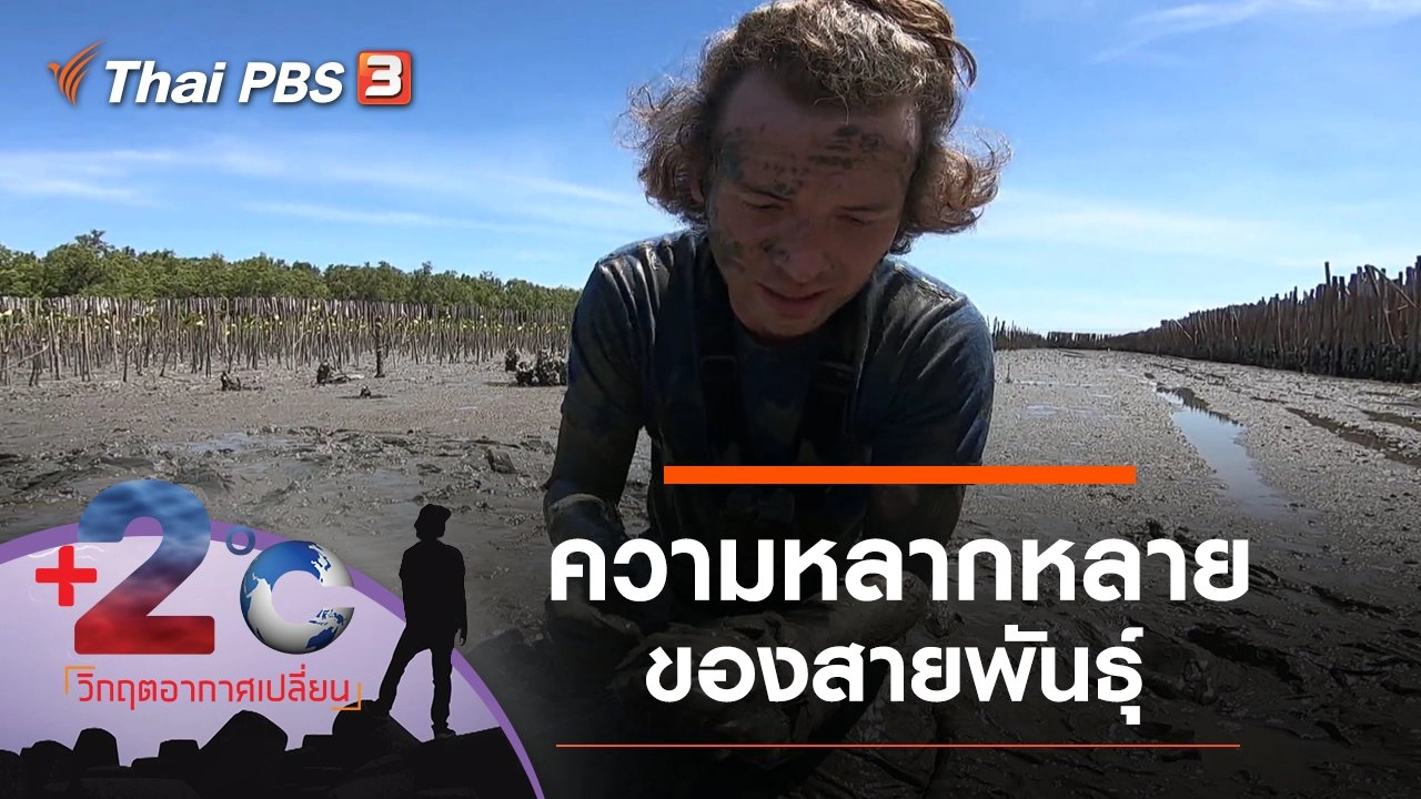 ความหลากหลายของสายพันธุ์