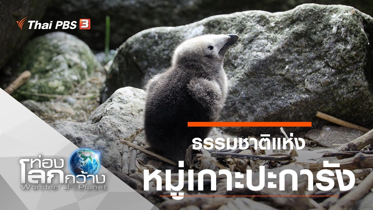 ธรรมชาติแห่งหมู่เกาะปะการัง