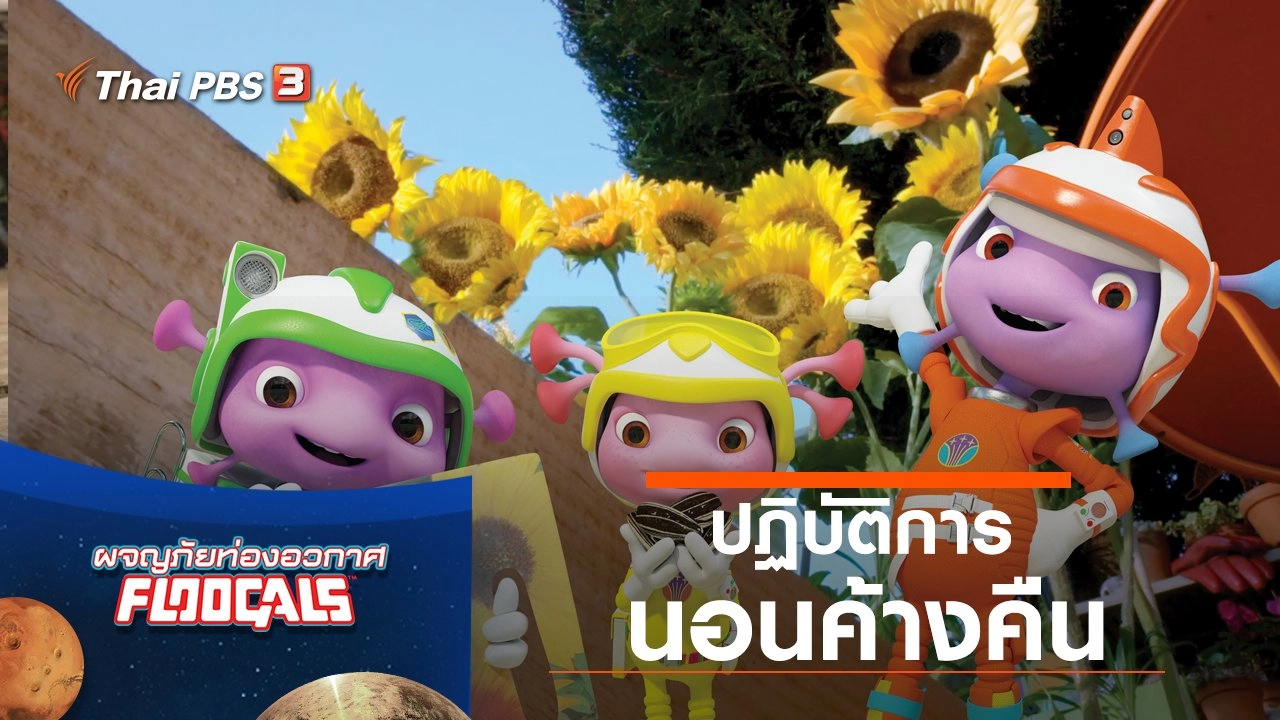 ปฎิบัติการนอนค้างคืน