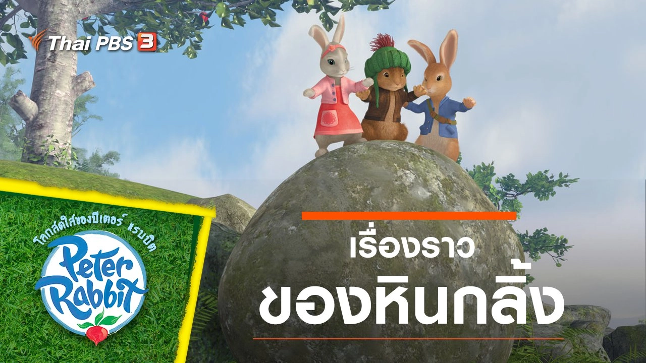 เรื่องราวของหินกลิ้ง