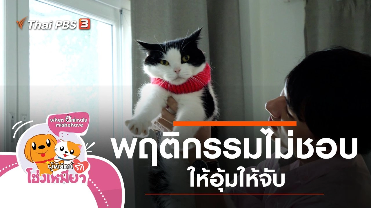พฤติกรรมไม่ชอบให้อุ้มให้จับ