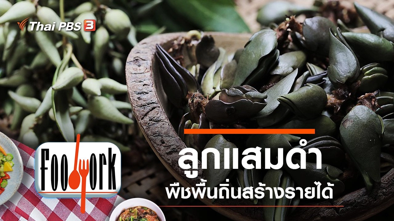 ลูกแสมดำ