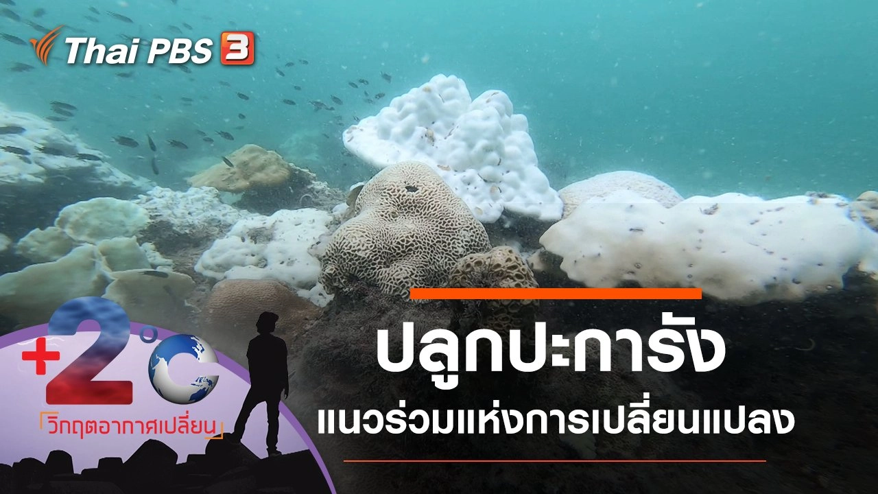 แนวร่วมแห่งการเปลี่ยนแปลง