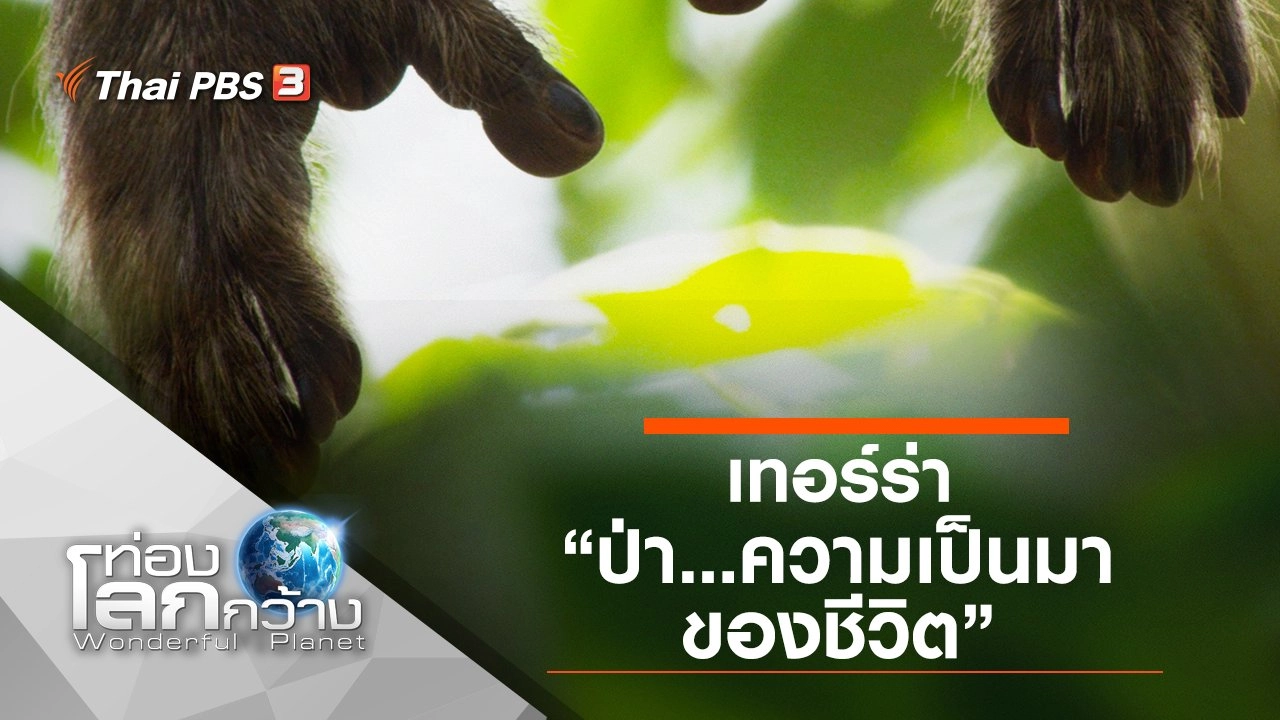 เทอร์ร่า ตอน ป่า...ความเป็นมาของชีวิต