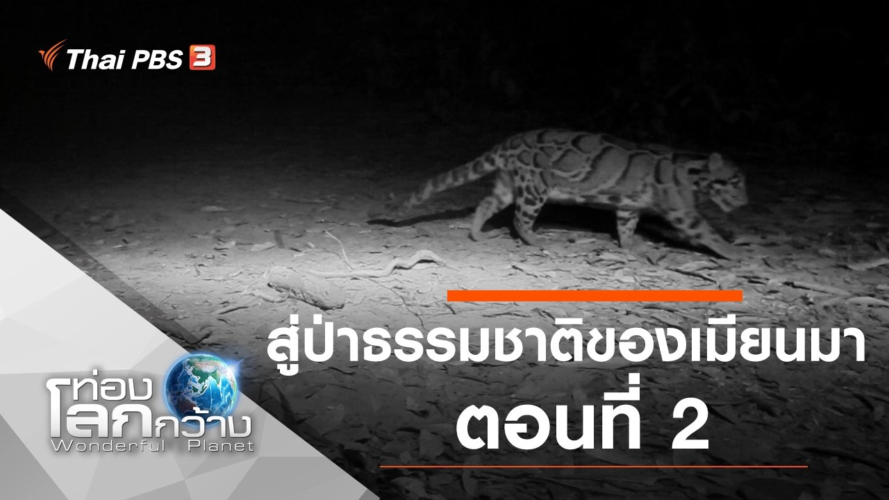 สู่ป่าธรรมชาติของเมียนมา ตอนที่ 2