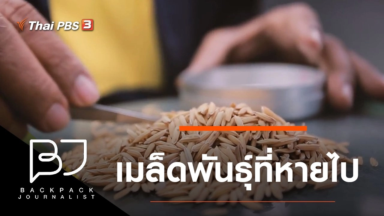 เมล็ดพันธุ์ที่หายไป