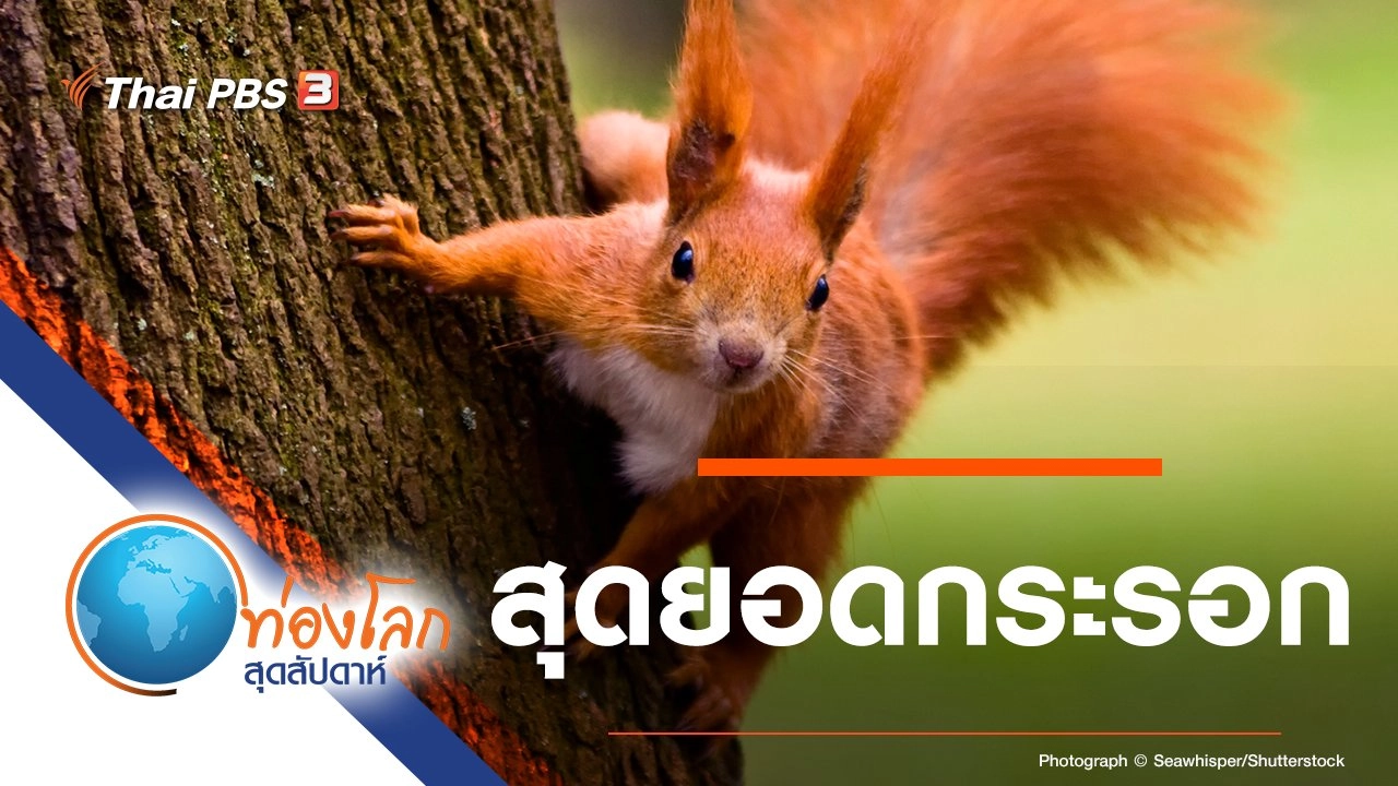 สุดยอดกระรอก