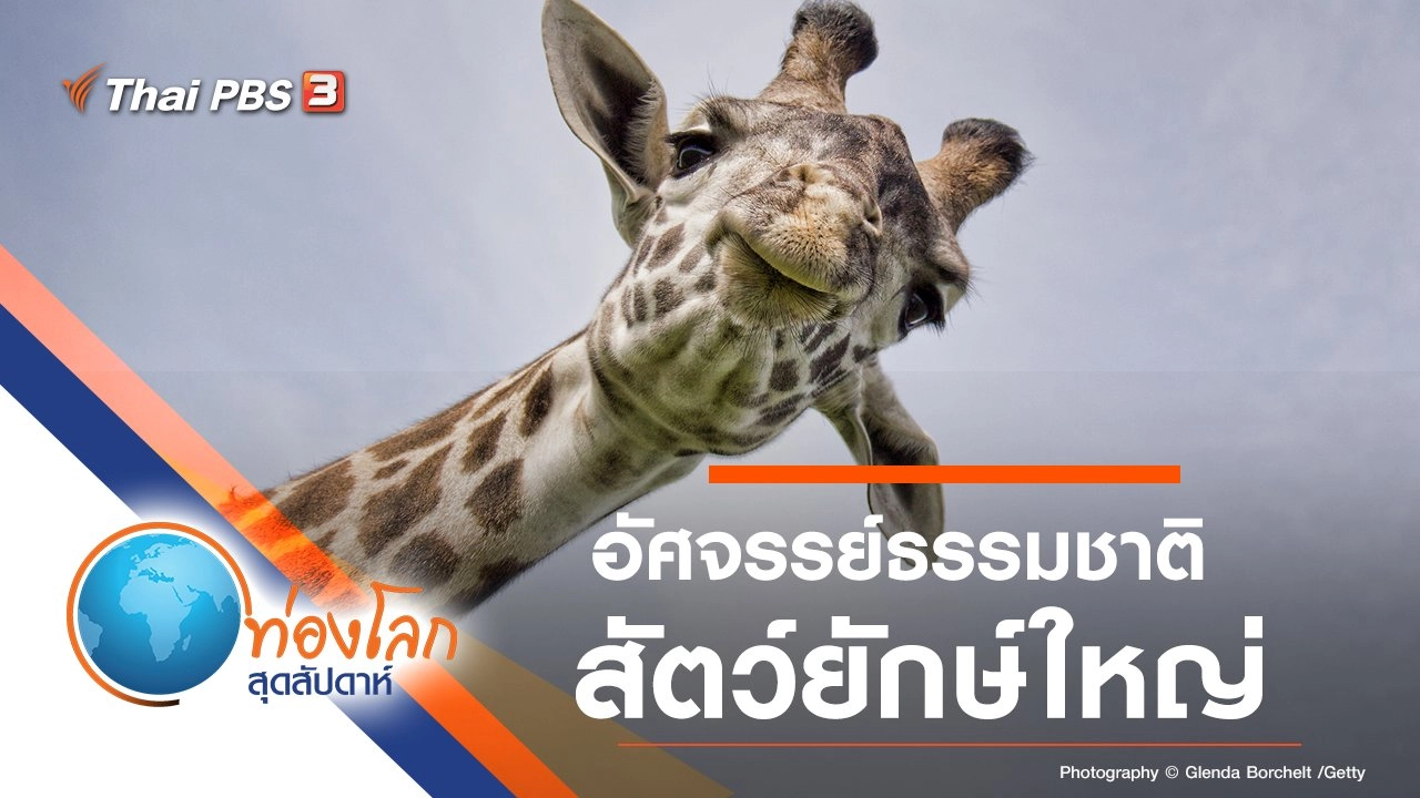 อัศจรรย์ธรรมชาติสัตว์ยักษ์ใหญ่