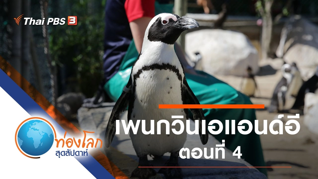 เพนกวินเอแอนด์อี ตอนที่ 4