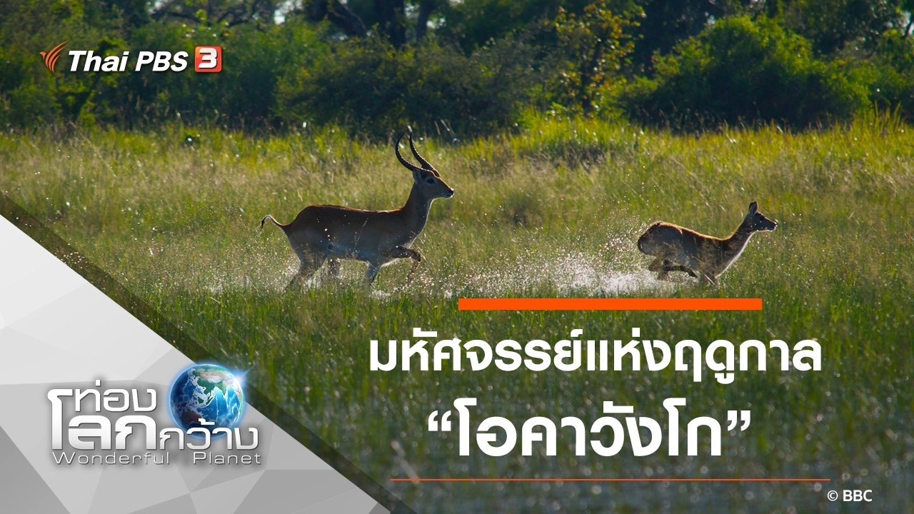 มหัศจรรย์แห่งฤดูกาล ตอน โอคาวังโก