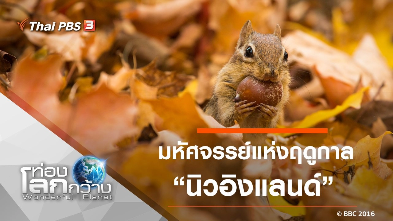 มหัศจรรย์แห่งฤดูกาล ตอน นิวอิงแลนด์