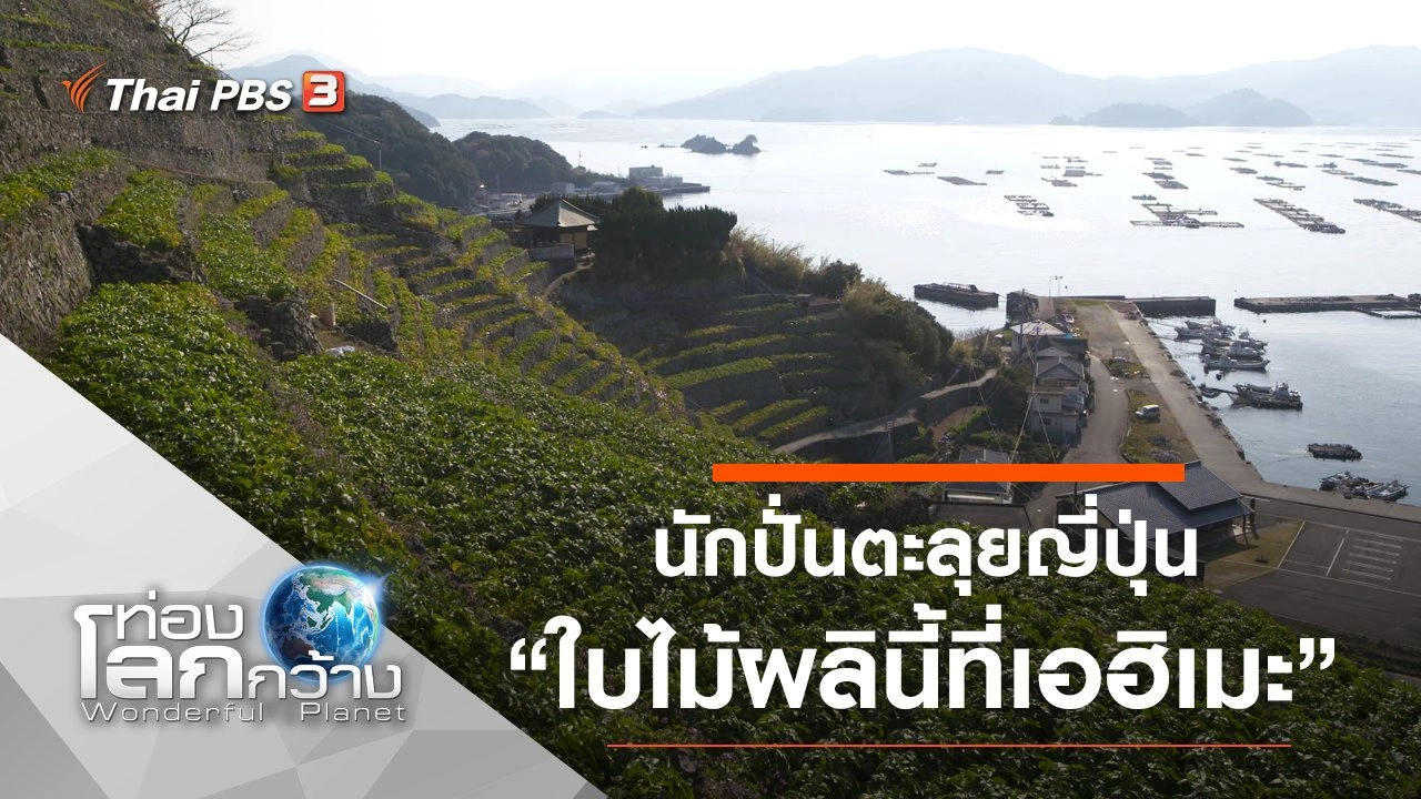 นักปั่นตะลุยญี่ปุ่น ตอน ใบไม้ผลินี้ที่เอฮิเมะ