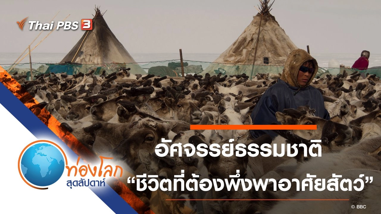 อัศจรรย์ธรรมชาติ ตอน ชีวิตที่ต้องพึ่งพาอาศัยสัตว์