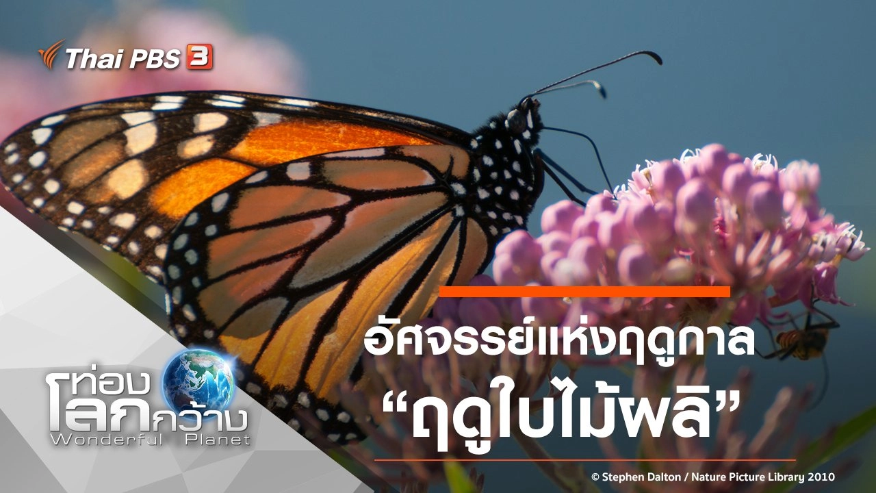 อัศจรรย์แห่งฤดูกาล ตอน ฤดูใบไม้ผลิ