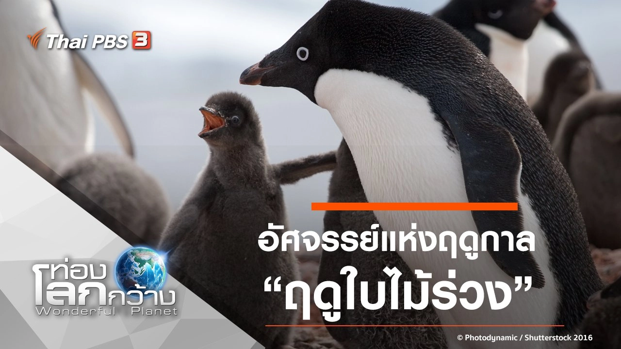 อัศจรรย์แห่งฤดูกาล ตอน ฤดูใบไม้ร่วง