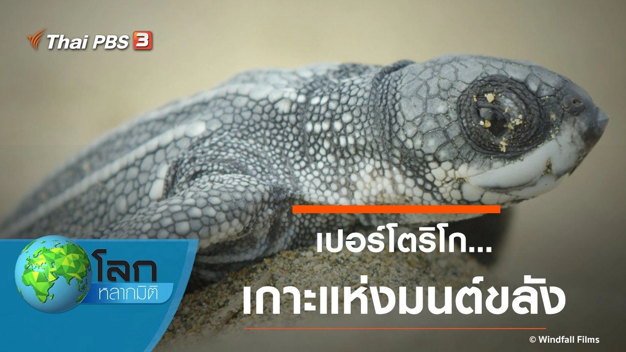 เปอร์โตริโก...เกาะแห่งมนต์ขลัง