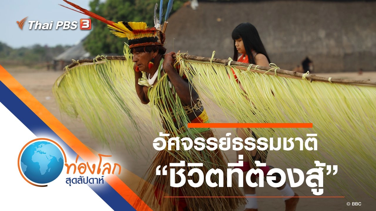 อัศจรรย์ธรรมชาติ ตอน ชีวิตที่ต้องสู้