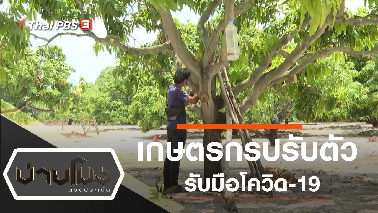 ประเด็นข่าว (8 มิ.ย. 63)