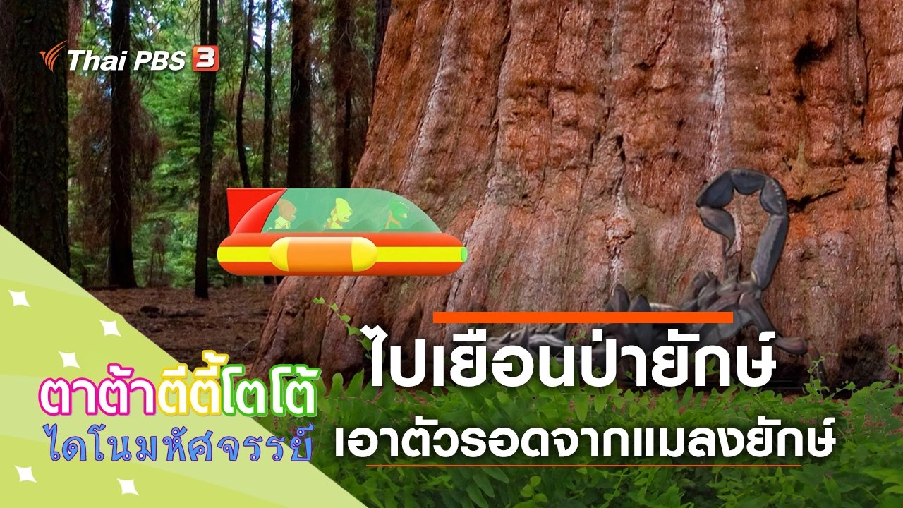 ไปเยือนป่ายักษ์