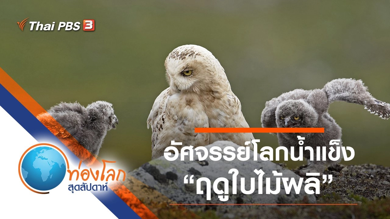 อัศจรรย์โลกน้ำแข็ง ตอน ฤดูใบไม้ผลิ