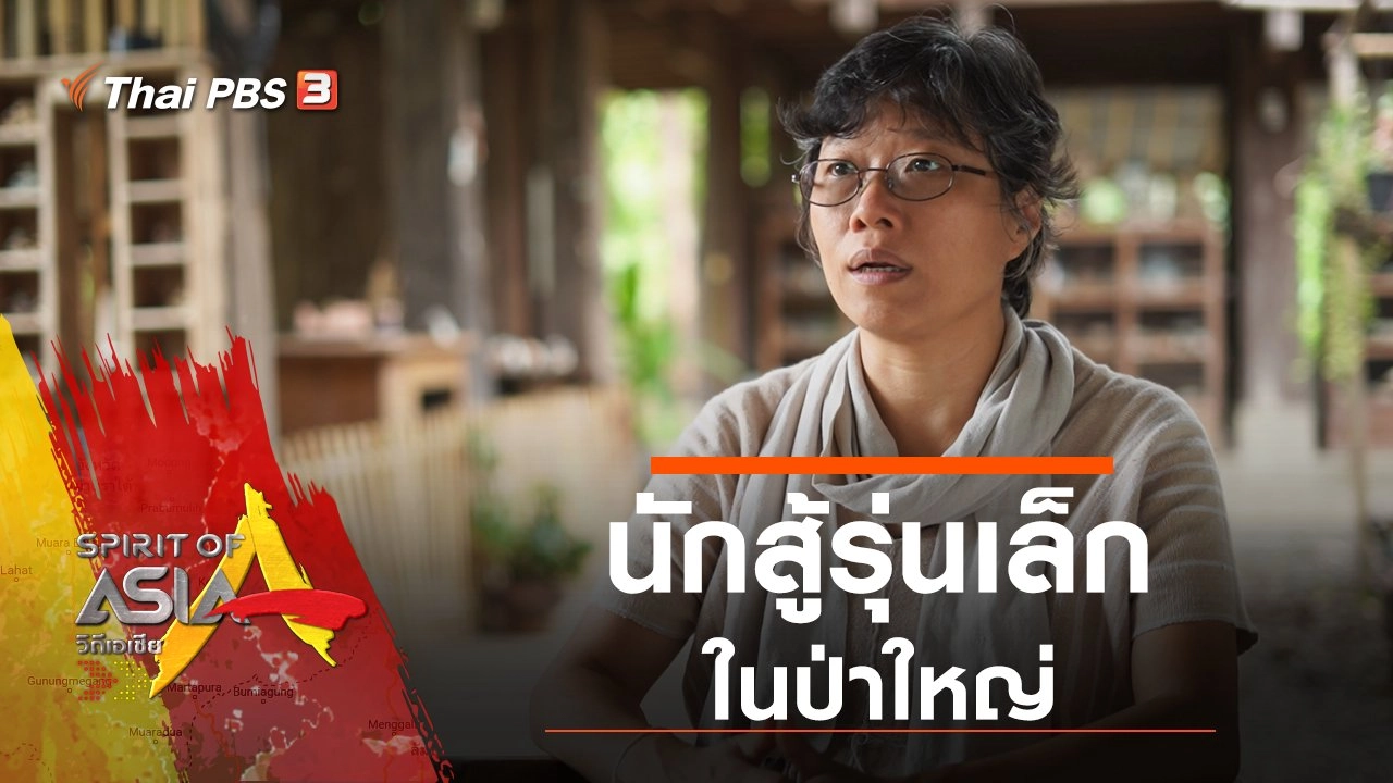 นักสู้รุ่นเล็กในป่าใหญ่