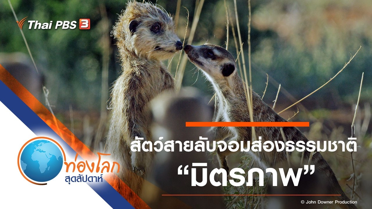 สัตว์สายลับจอมส่องธรรมชาติ ตอน มิตรภาพ