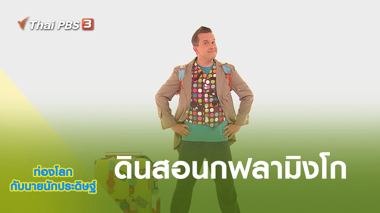 ดินสอนกฟลามิงโก