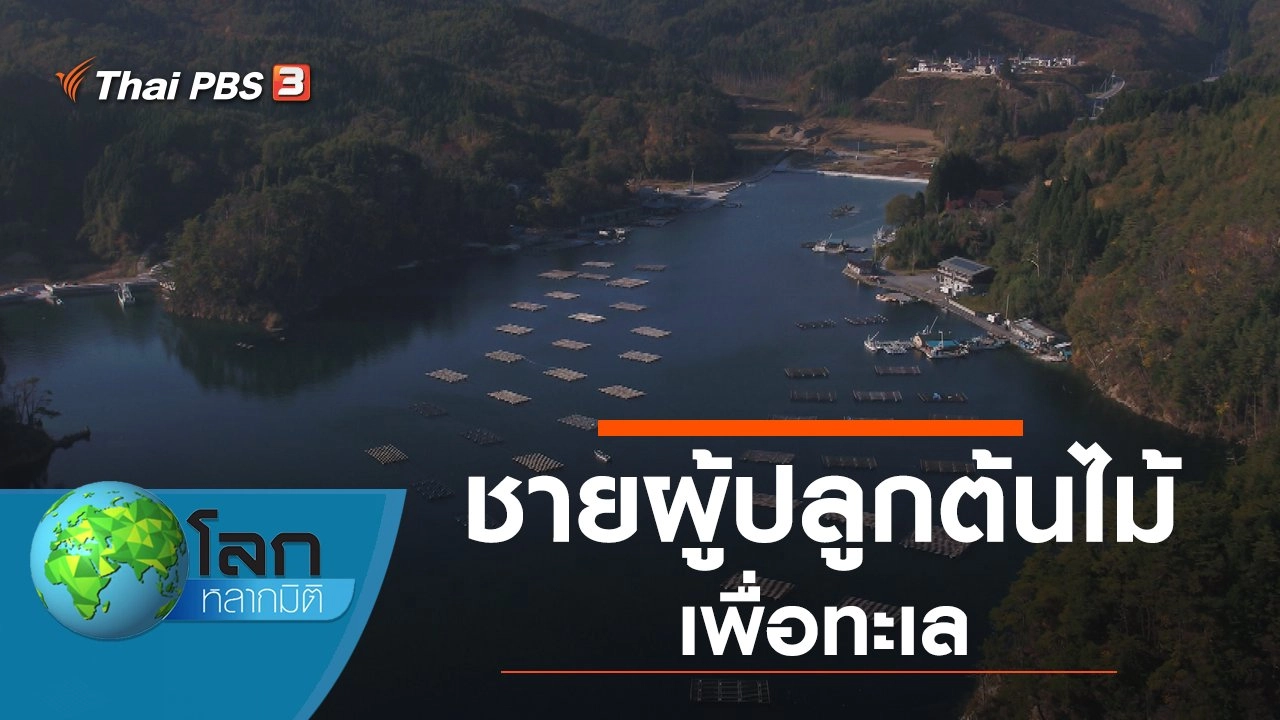 ชายผู้ปลูกต้นไม้เพื่อทะเล