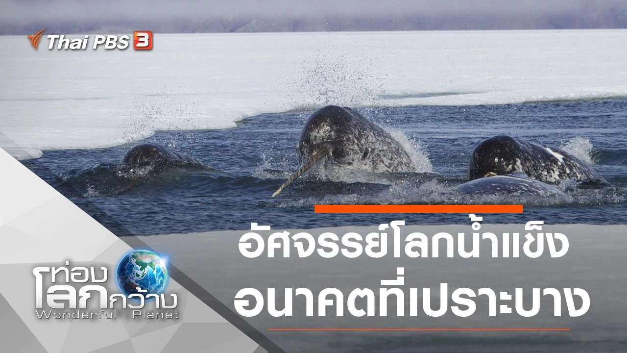 อัศจรรย์โลกน้ำแข็ง...อนาคตที่เปราะบาง