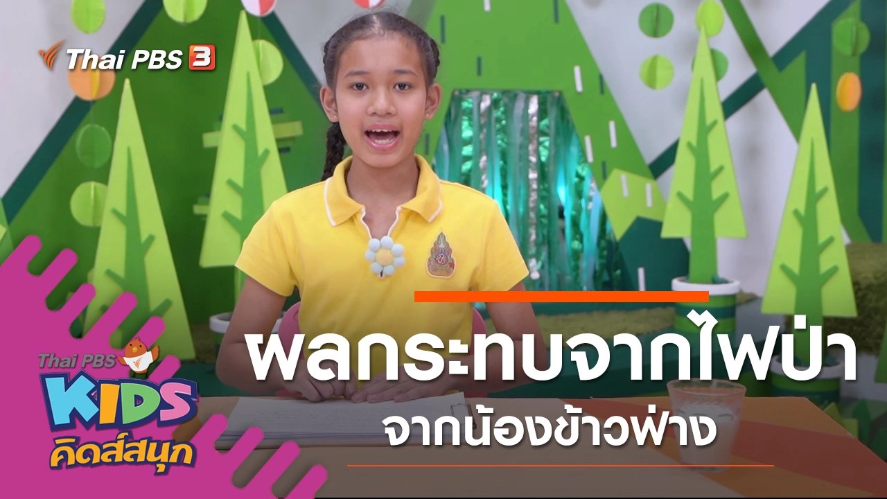 ผลกระทบจากไฟป่าออสเตรเลีย จากน้องข้าวฟ่าง