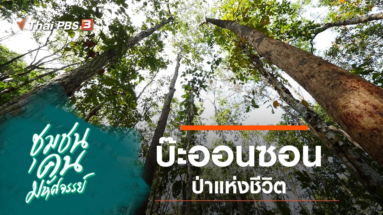 บ๊ะออนซอน ป่าแห่งชีวิต