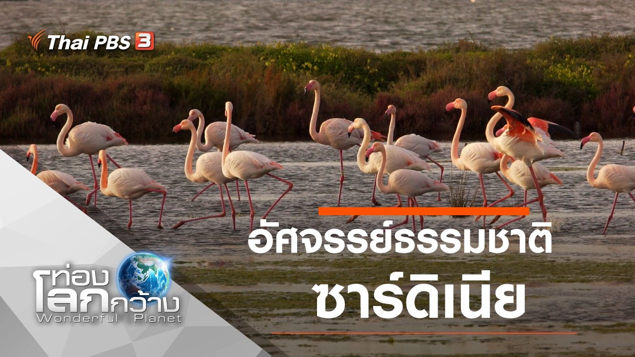 อัศจรรย์ธรรมชาติซาร์ดิเนีย