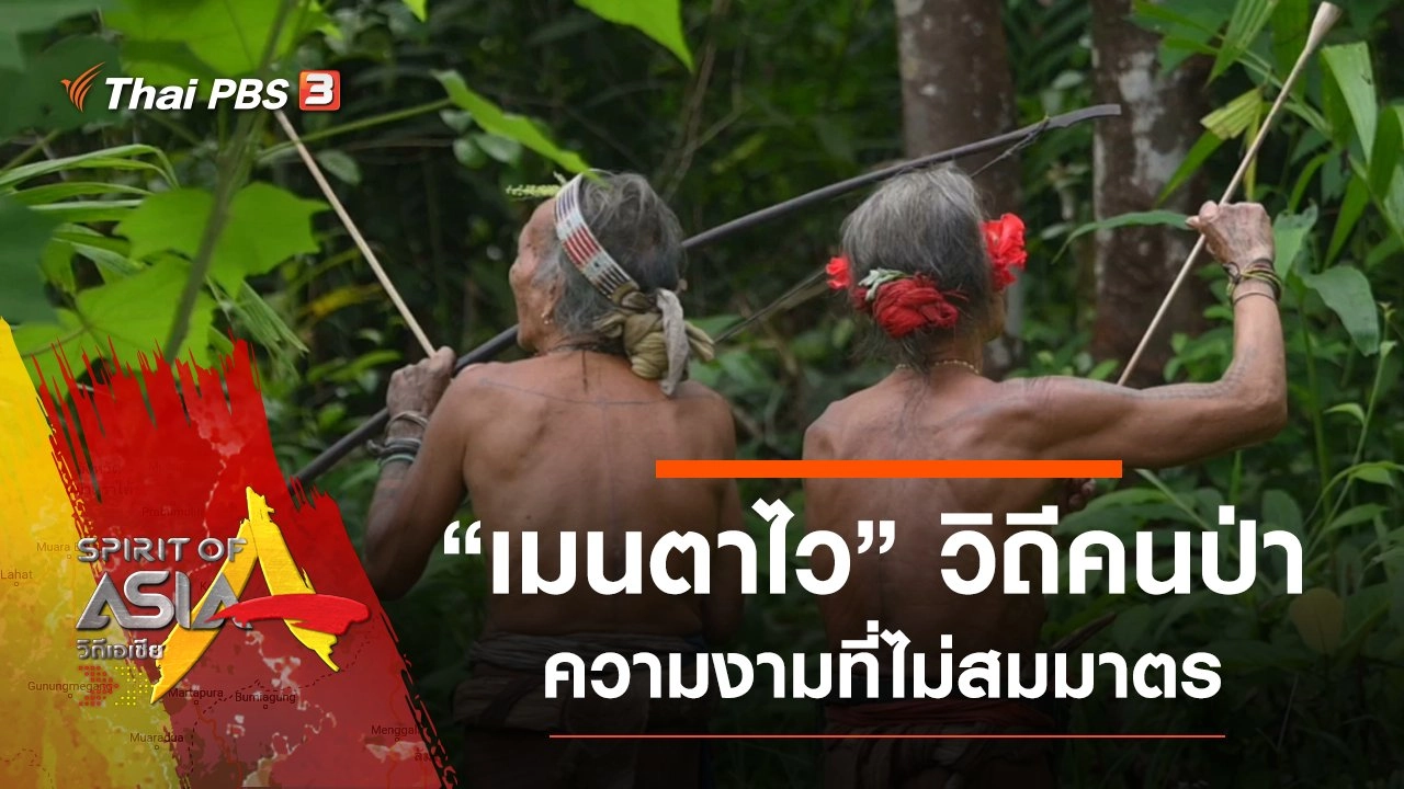 เมนตาไว วิถีคนป่าความงามที่ไม่สมมาตร