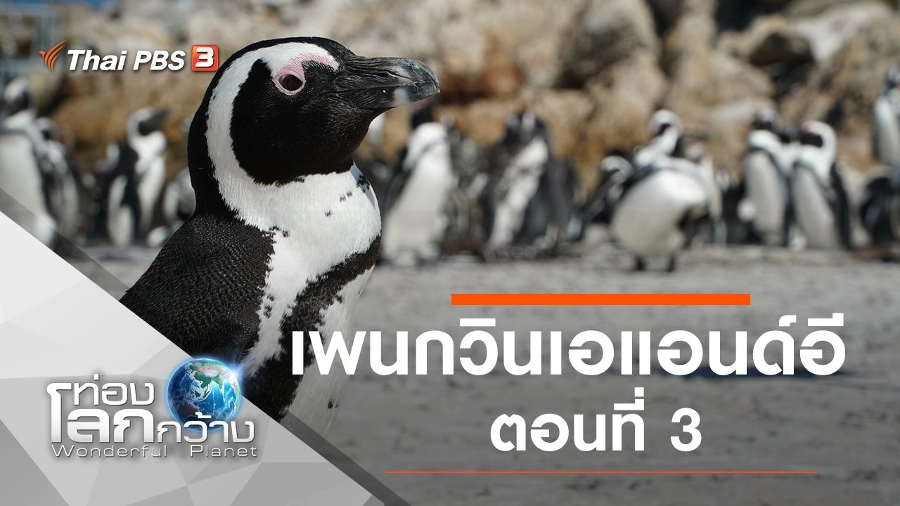 เพนกวินเอแอนด์อี ตอนที่ 3