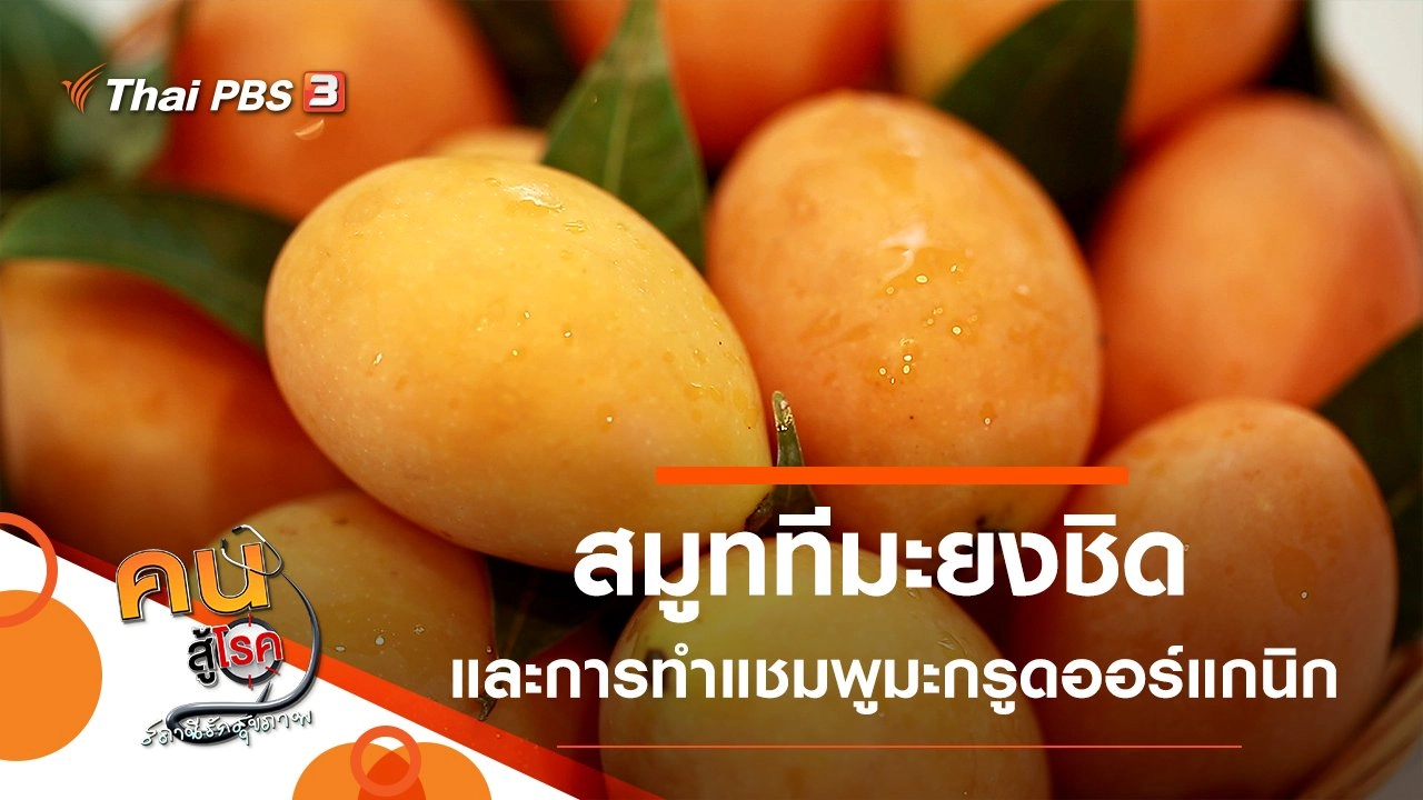 สมูททีมะยงชิด, แชมพูมะกรูดออร์แกนิก