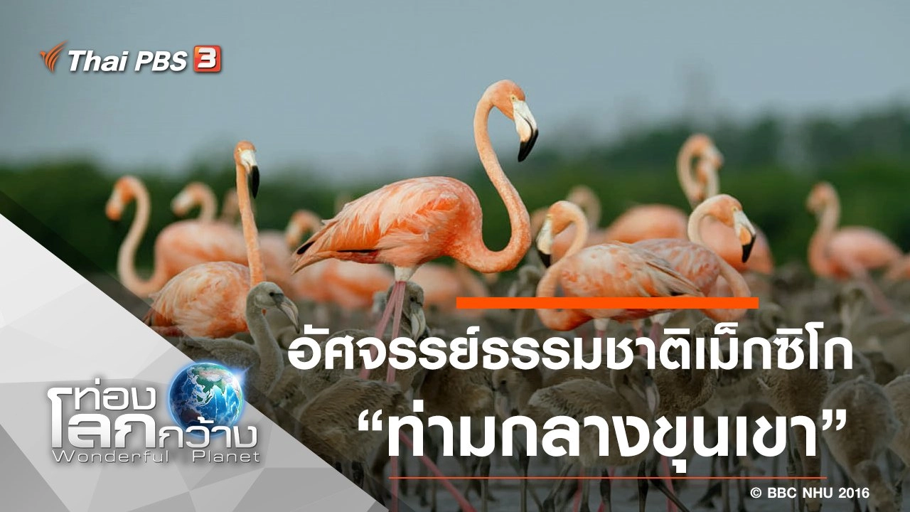 อัศจรรย์ธรรมชาติเม็กซิโก ตอน ผืนป่าแห่งมายา