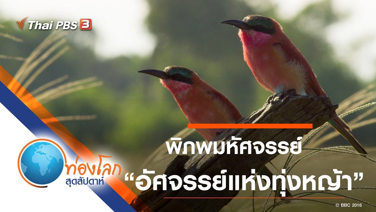 พิภพมหัศจรรย์ ตอน อัศจรรย์แห่งทุ่งหญ้า