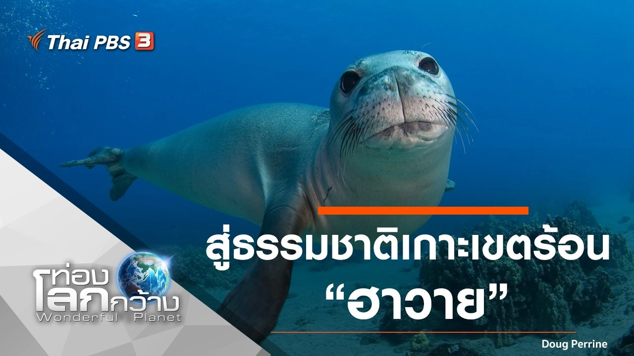 สู่ธรรมชาติเกาะเขตร้อน ตอน ฮาวาย