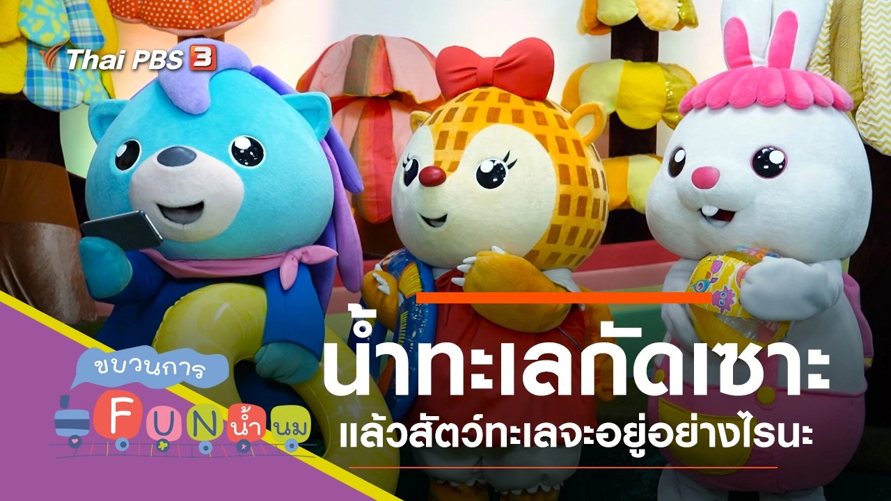 กัดเซาะ