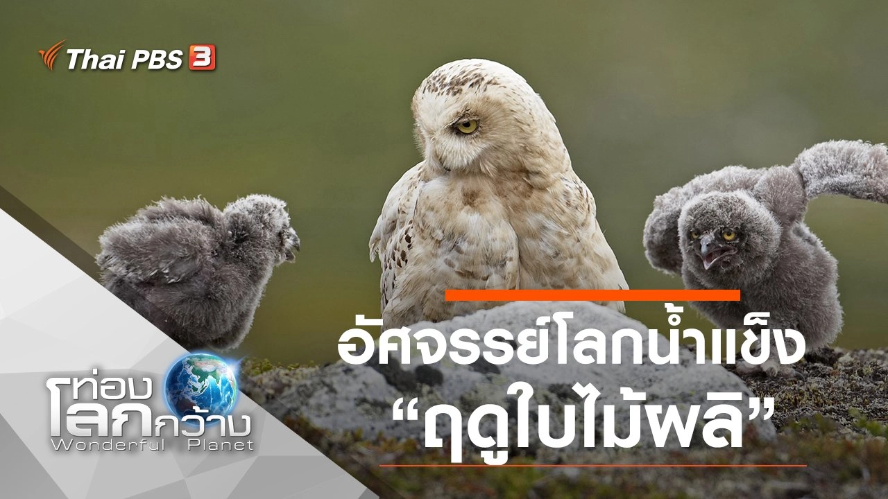 อัศจรรย์โลกน้ำแข็ง ตอน ฤดูใบไม้ผลิ