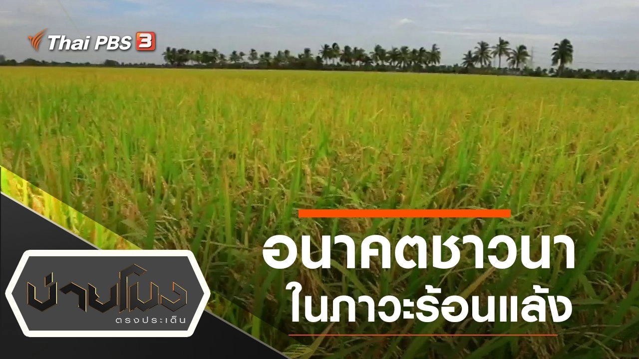 ประเด็นข่าว (21 เม.ย. 63)