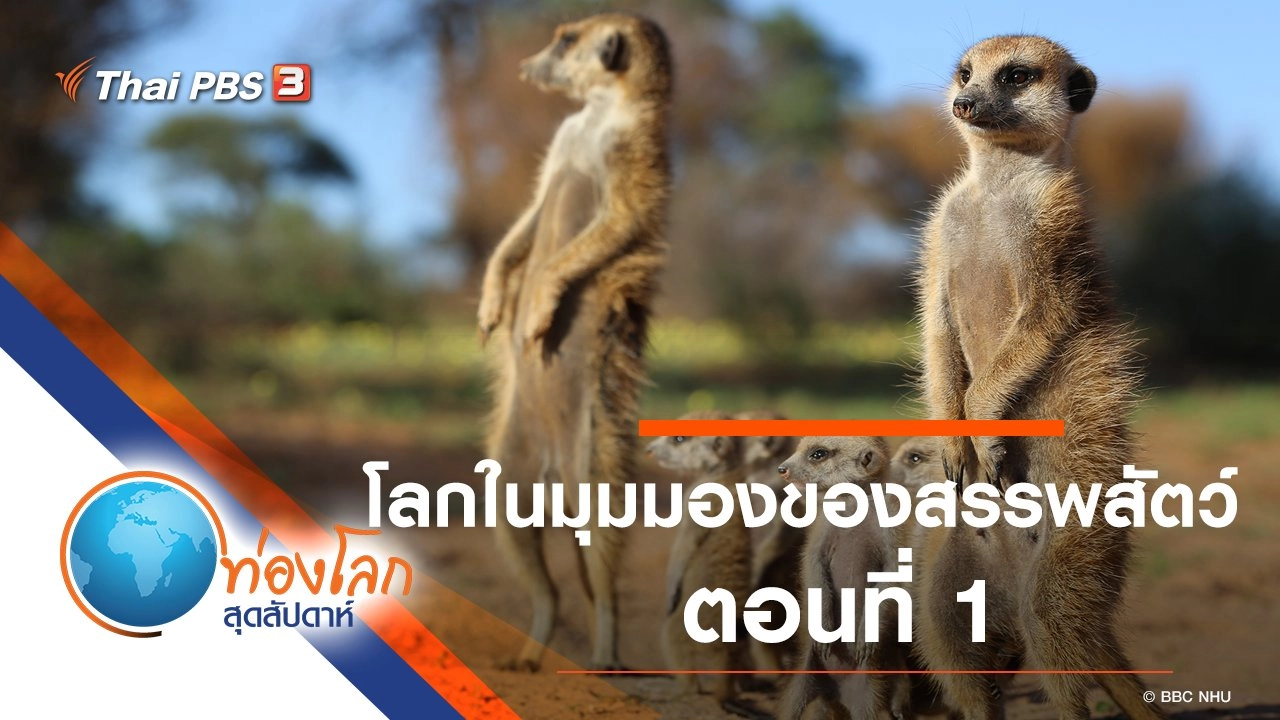 โลกในมุมมองของสรรพสัตว์ ตอนที่ 1
