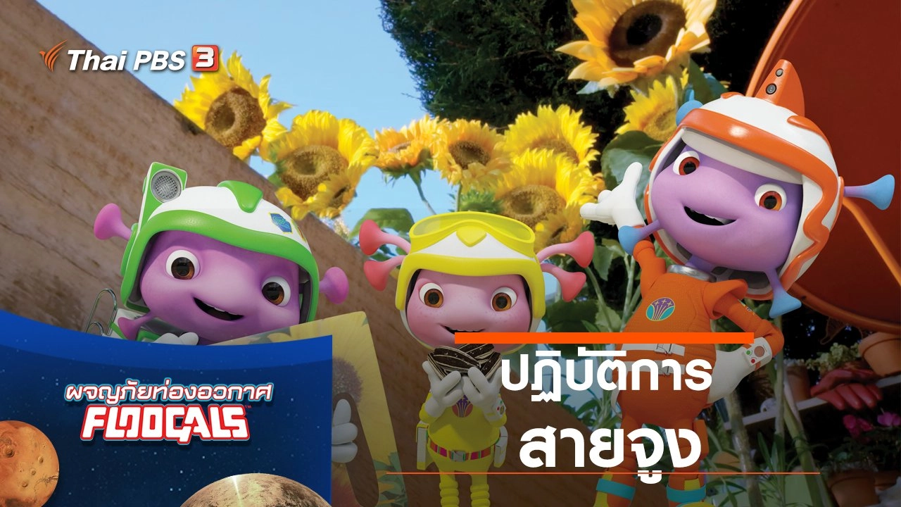 ปฏิบัติการสายจูง