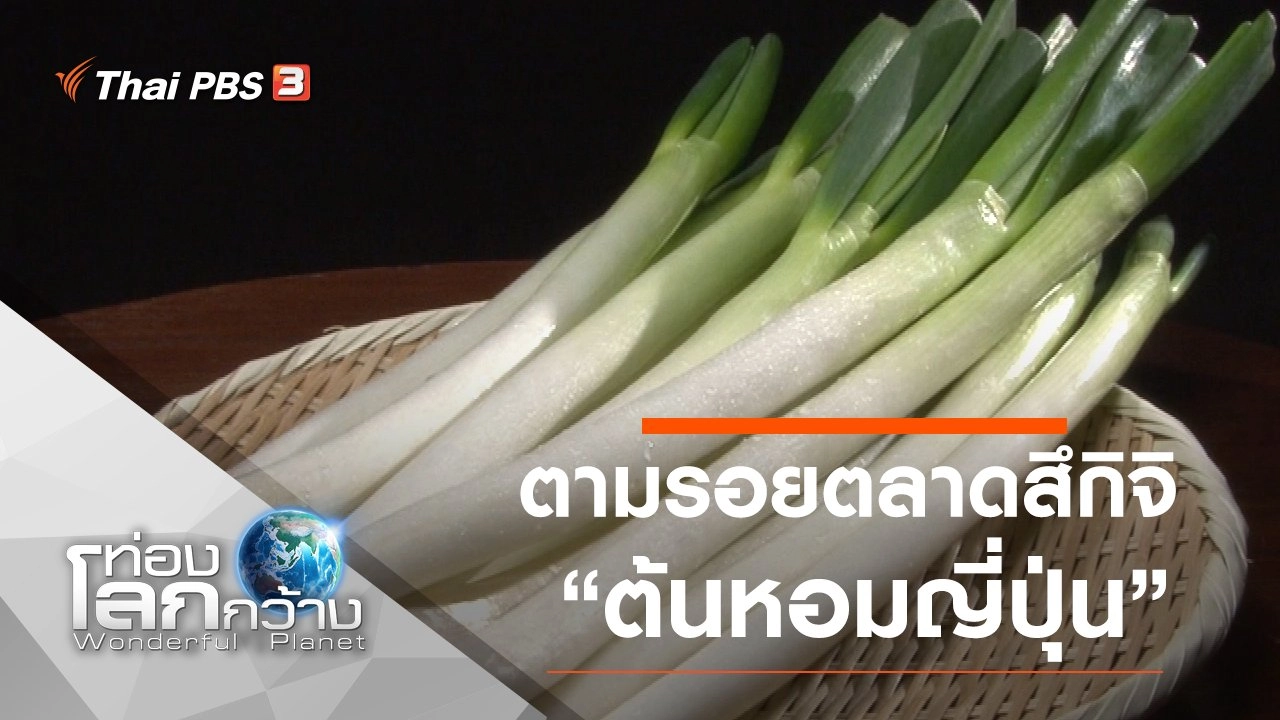 ตามรอยตลาดสึกิจิ ตอน ต้นหอมญี่ปุ่น และปลาไท