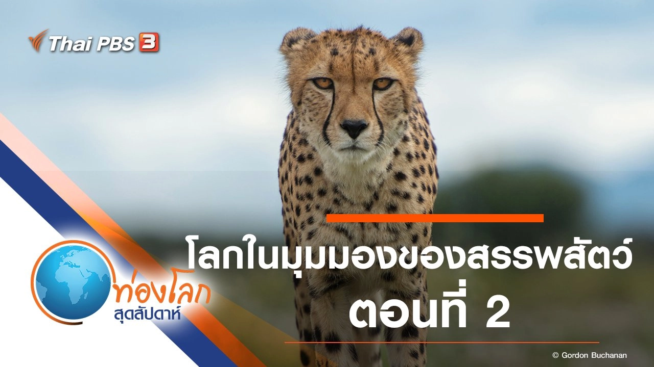 โลกในมุมมองของสรรพสัตว์ ตอนที่ 2