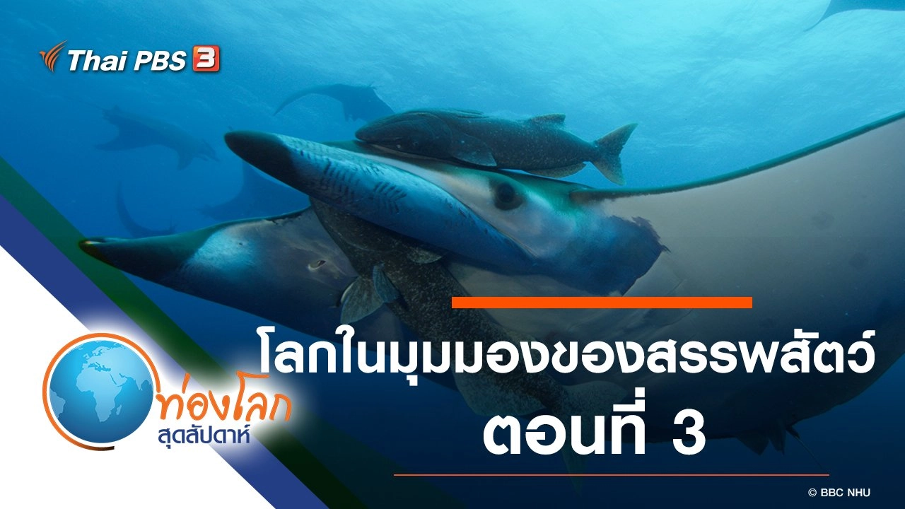 โลกในมุมมองของสรรพสัตว์ ตอนที่ 3