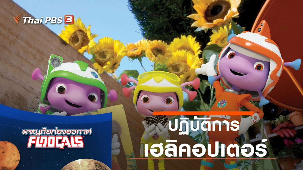 ปฎิบัติการเฮลิคอปเตอร์